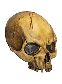 Demi-crâne décoratif en résine (abîmé)