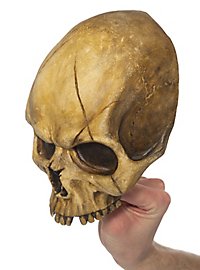 Demi-crâne décoratif en résine (abîmé)