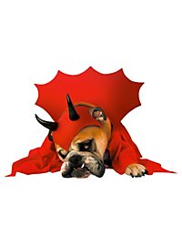 Devil Dog Costume