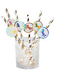 Eenhoorn papieren rietjes 6 stuks