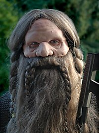 Ensemble barbe de nain avec perruque