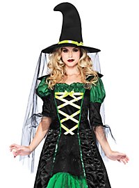 Fairytale Witch Costume