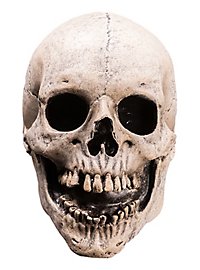 Fear Street - Skull mask