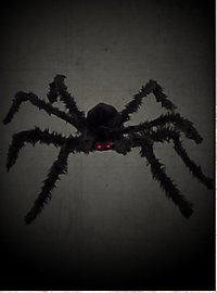 Fluffy giant spider with light eyes