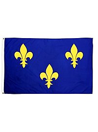 France Fleur de Lys Flag 
