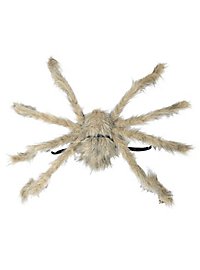 Giant spider to hang around grey