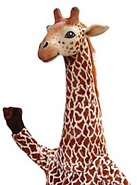Girafe Mascotte