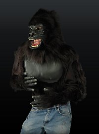 Gorilla Oberkörper