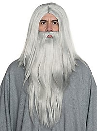 Grå troldmandsparyk og skæg