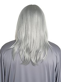 Grå troldmandsparyk og skæg