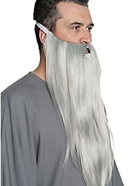 Grå troldmandsparyk og skæg