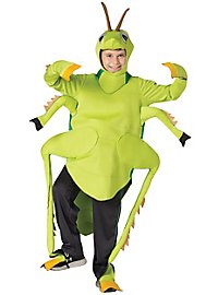 Grasshopper child costume