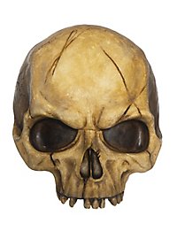 Halveret Dekokranie Af Støbeharpiks - Medtaget