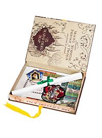 Harry Potter - Ron Weasley Artefakt Boks