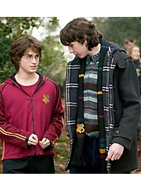 Harry Potter - Schal Hogwarts 190 cm