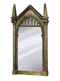 Harry Potter - Spejl Nerhegeb