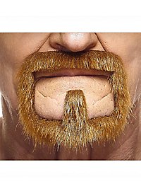 Henriquatre Beard