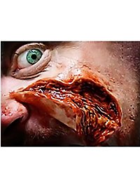 Herida De Carne Transfers 3D FX