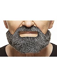 Hollywoodian Fuldskæg