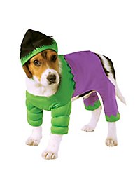 Hulk dog costume