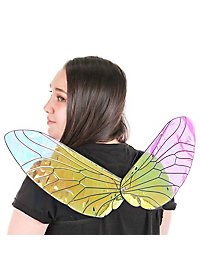 Insect wings
