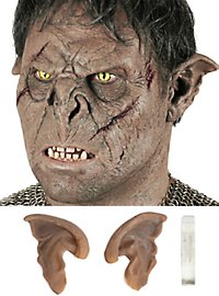 Iturevne Orkeører Brune