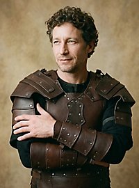 Kämpfer Armschienen braun 