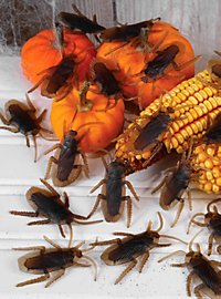 Kakerlakker Dekoration