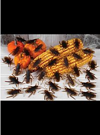 Kakerlakker Dekoration