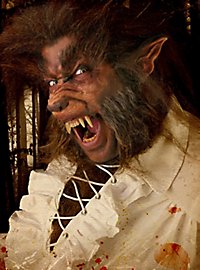 Kit de maquillage Hipster loup-garou