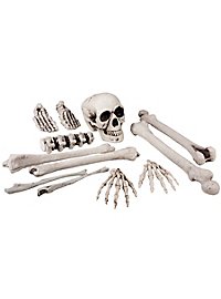 Kranium Og Knogler Dekoration