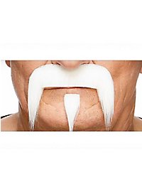 La barba di Zappa
