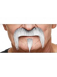 La barba di Zappa