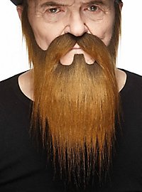 La barbe complète de ZZ