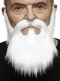 La barbe complète de ZZ