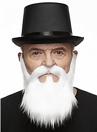 La barbe complète de ZZ