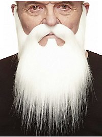 La barbe complète de ZZ