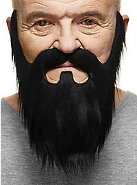 La barbe complète de ZZ
