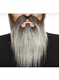 La barbe complète de ZZ