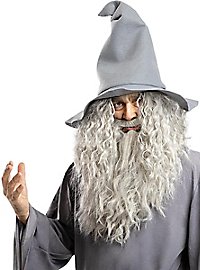 Le Seigneur des Anneaux - Perruque de Gandalf avec barbe