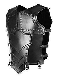 Lederrüstung - Drachenreiter