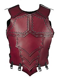 Lederrüstung - Drachenreiter