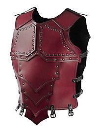 Lederrüstung - Drachenreiter