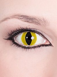 Lentilles de contact Félin jaunes
