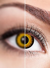 Löwe Kontaktlinse mit Dioptrien