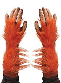 Mains d'orang-outan