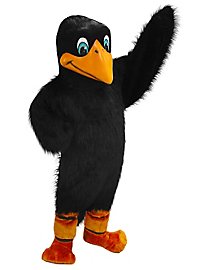 Mascota De Cuervo