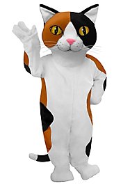 Mascota De Gato Calicó