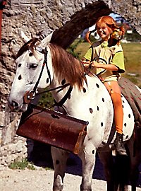 MASKWORLD Pippi Langkous kostuum voor kinderen