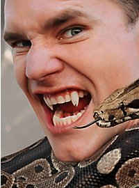 Monster teeth snake